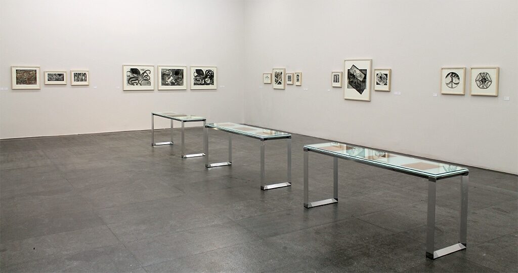 Zoologia Gráfica. Francisco Toledo, 2022. Zoologia Gráfica. Francisco Toledo, 2022.