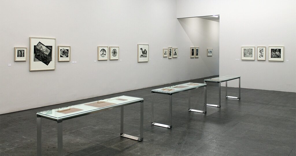 Zoologia Gráfica. Francisco Toledo, 2022. Zoologia Gráfica. Francisco Toledo, 2022.