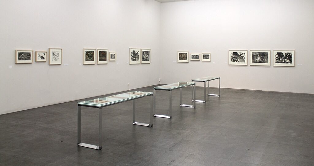 Zoologia Gráfica. Francisco Toledo, 2022. Zoologia Gráfica. Francisco Toledo, 2022.