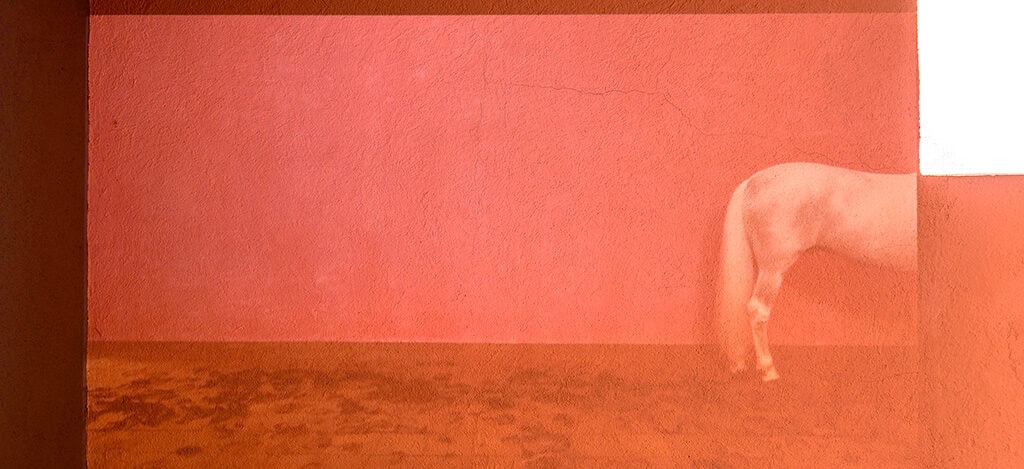 GALLERY WEEKEND 22 GALLERY WEEKEND 22