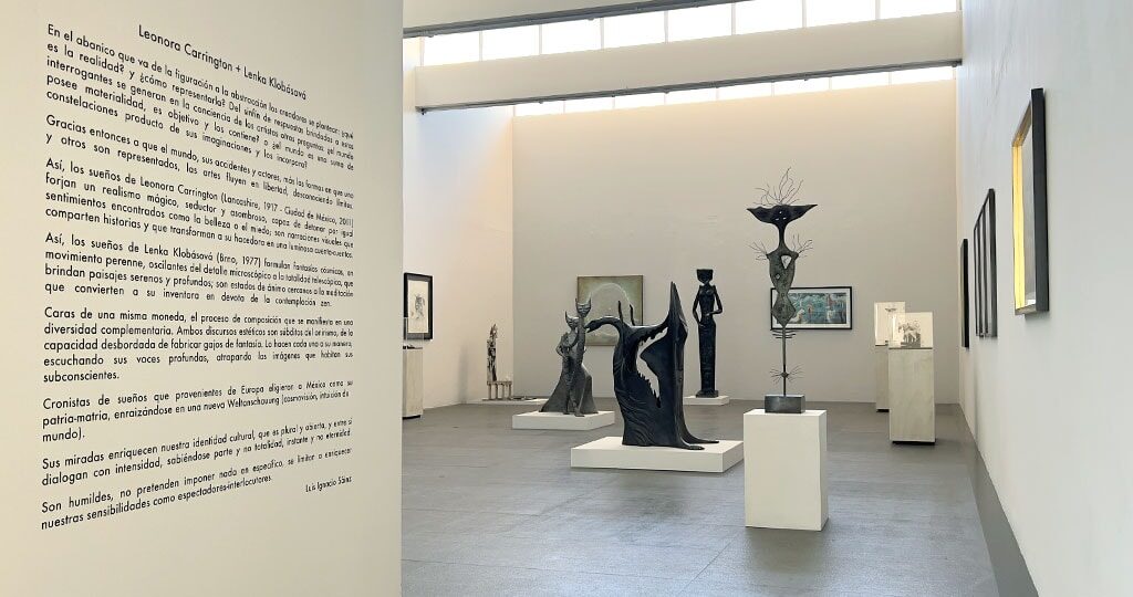 Los Sueños. Realismo Mágico y Fantasías Cósmicas. Los Sueños. Realismo Mágico y Fantasías Cósmicas.