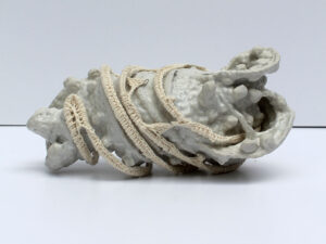 Habitáculo de la luna - Ana Castelán.