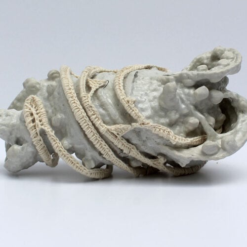 Habitáculo de la luna - Ana Castelán